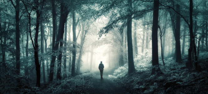 Bild-Nr: 12877127 Spaziergang durch ein verträumten Wald Erstellt von: Smileus