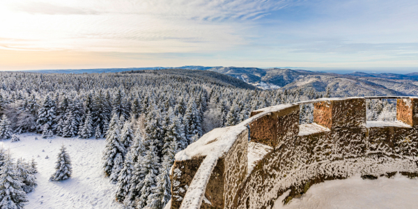 Bild-Nr: 12877506 Hohlohturm bei Kaltenbronn im Schwarzwald Erstellt von: dieterich