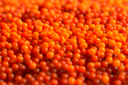 Bild-Nr: 12877520 Orange Pearls Erstellt von: dresdner