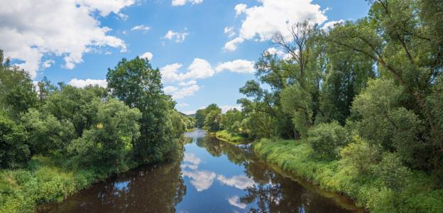 Bild-Nr: 12877536 Am Schwarzen Regen Niederbayern Erstellt von: SusaZoom