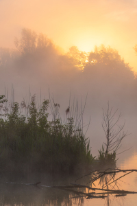 Bild-Nr: 12877647 Sonnenaufgang am See in Deutschland II Erstellt von: Daniela Beyer