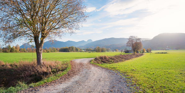 Bild-Nr: 12877664 Herbstlicher Radweg rund um Bad Feilnbach Erstellt von: SusaZoom