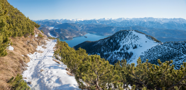 Bild-Nr: 12879525 Winterwanderweg auf den Herzogstand Erstellt von: SusaZoom