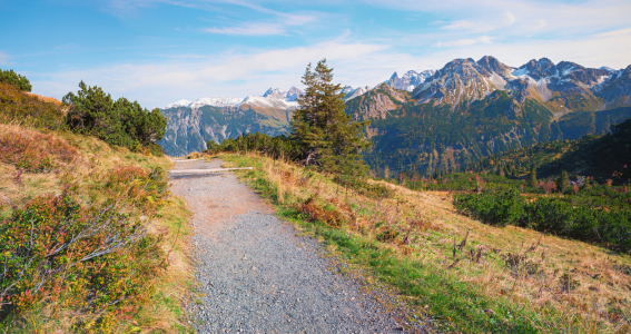 Bild-Nr: 12879799 Fellhorn Oberstdorf Wanderweg im Herbst Erstellt von: SusaZoom