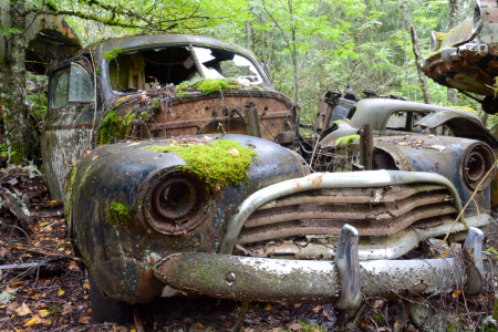 Bild-Nr: 12880097 Oldtimer im Wald Erstellt von: Bettina Schnittert