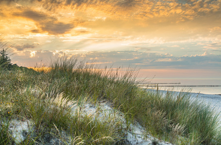 Bild-Nr: 12881892 Stranddünen von Zingst Erstellt von: Ursula Reins