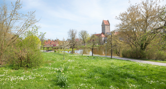 Bild-Nr: 12882030 Dinkelsbühl im Frühling I Erstellt von: SusaZoom