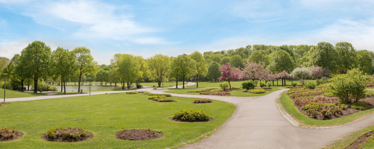 Bild-Nr: 12882072 Frühling im Münchner Westpark Erstellt von: SusaZoom