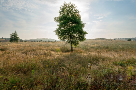 Bild-Nr: 12882292 Herrliche Ruhe in der Natur Erstellt von: volker heide
