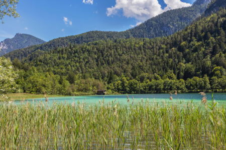 Bild-Nr: 12883734 Thumsee - Berchtesgadener Land Erstellt von: uh-Photography