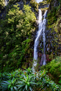 Bild-Nr: 12884306 Cascata do Risco Erstellt von: DirkR