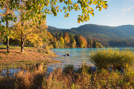 Bild-Nr: 12885005 Walchenseeufer im Herbst Erstellt von: SusaZoom