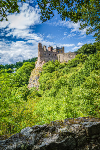 Bild-Nr: 12885476 Schloss Oberstein 95 Erstellt von: Erhard Hess