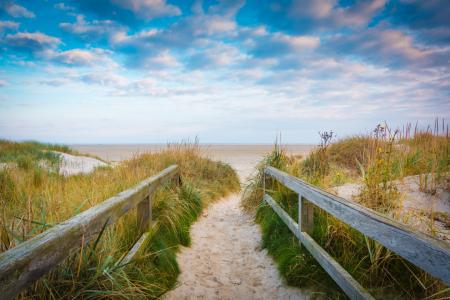 Bild-Nr: 12886019 Weg zum Nordsee Strand Erstellt von: Martin Martin Wasilewski