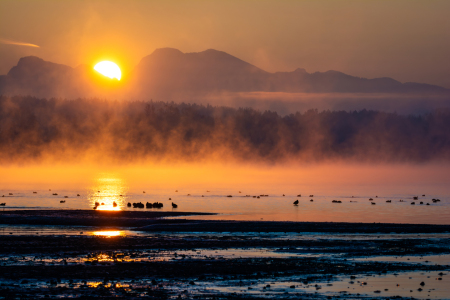 Bild-Nr: 12886303 Sonnenaufgang am Chiemsee Erstellt von: Martin Martin Wasilewski