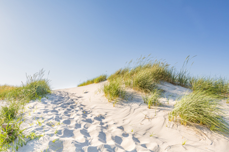 Bild-Nr: 12886612 Stranddünen unter Blauem  Himmel   Erstellt von: Ursula Reins