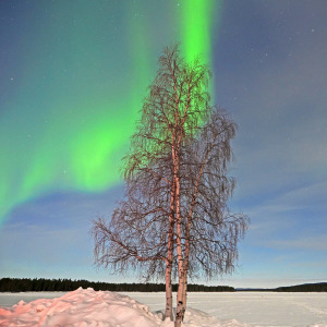 Bild-Nr: 12886797 Lady Aurora Erstellt von: GUGIGEI