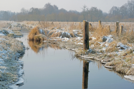 Bild-Nr: 12887411 Winteridylle Erstellt von: Ostfriese