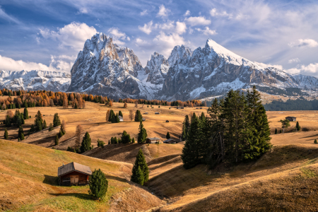 Bild-Nr: 12887552 Herbst auf der Seiser Alm Erstellt von: Achim Thomae