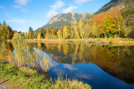 Bild-Nr: 12887763 Moorweiher Oberstdorf Herbstidylle V Erstellt von: SusaZoom