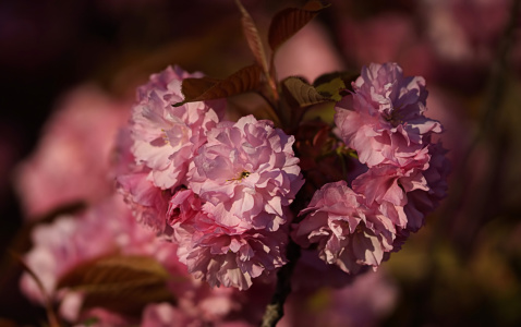 Bild-Nr: 12887831 Romantic moments Erstellt von: youhaveadream