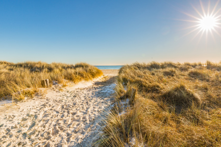 Bild-Nr: 12887905 Dünenstrand an der Ostsee Erstellt von: Ursula Reins