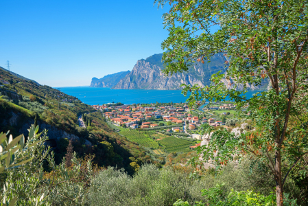 Bild-Nr: 12888085 Torbole am Gardasee II Erstellt von: SusaZoom