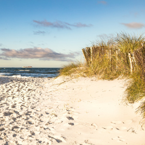 Bild-Nr: 12889359 Unter Beobachtung auf der Ostsee  Erstellt von: Ursula Reins
