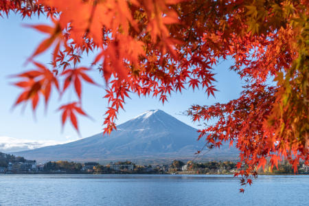 Bild-Nr: 12889853 Rotes Herbstlaub am Kawaguchi-See mit Berg Fuji Erstellt von: eyetronic