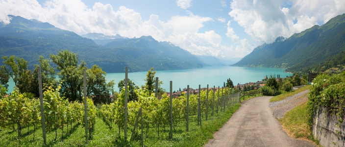Bild-Nr: 12889886 Wanderweg oberhalb Brienz Berner Oberland I Erstellt von: SusaZoom