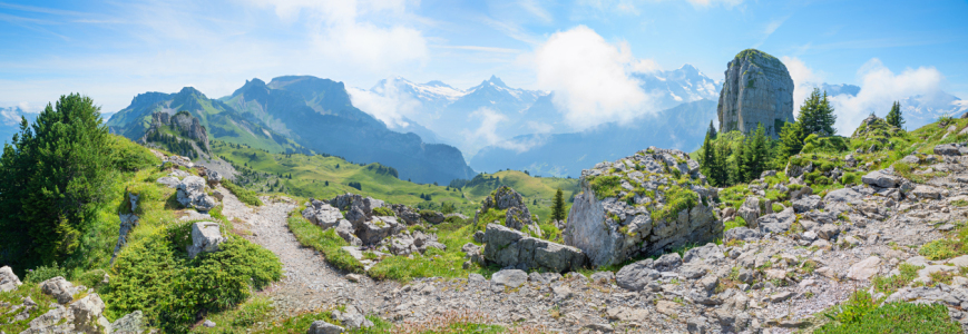 Bild-Nr: 12890288 Panorama Daube Berner Oberland Erstellt von: SusaZoom