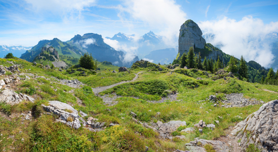 Bild-Nr: 12890289 An der Daube Berner Oberland Schweiz Erstellt von: SusaZoom