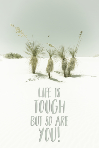 Bild-Nr: 12890919 Life is tough but so are you - Wüstenimpression Erstellt von: Melanie Viola