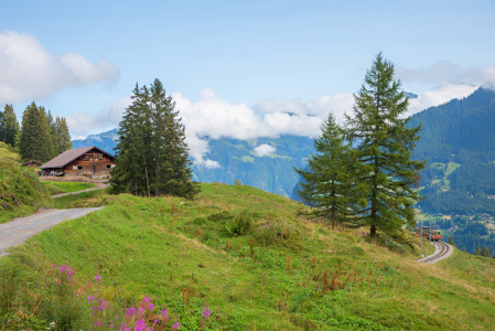 Bild-Nr: 12891116 Wanderweg Mürren-Grütschalp Erstellt von: SusaZoom