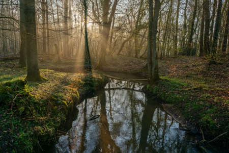 Bild-Nr: 12891235 Sonnenaufgang am Waldbach Erstellt von: volker heide