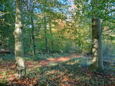 Bild-Nr: 12891398 Frühlingserwachen Erstellt von: Ostfriese