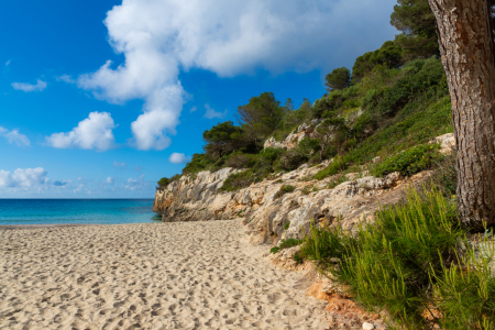 Bild-Nr: 12891600 Cala Anguila Strand auf Mallorca Erstellt von: Kunze Kunze