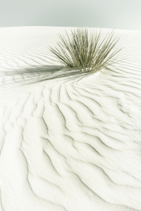 Bild-Nr: 12892105 DÜNEN White Sands National Monument - Vintage Erstellt von: Melanie Viola