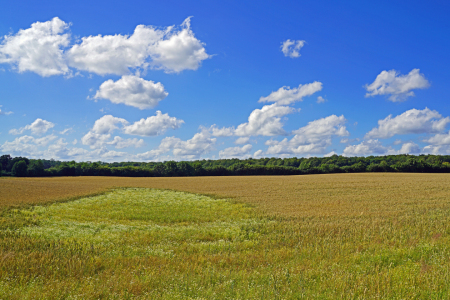 Bild-Nr: 12893850 Landwirtschaft Erstellt von: Ostfriese