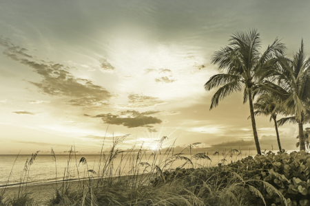 Bild-Nr: 12894021 BONITA BEACH Sonnenuntergang - Vintage Erstellt von: Melanie Viola