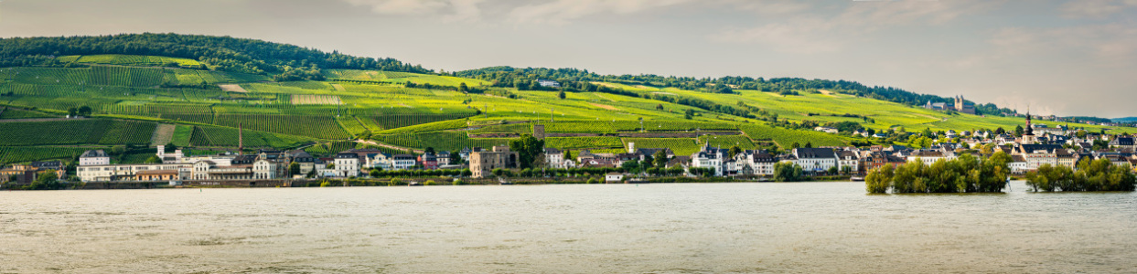 Bild-Nr: 12894813 Stadtpanorama Rüdesheim -1n- Erstellt von: Erhard Hess