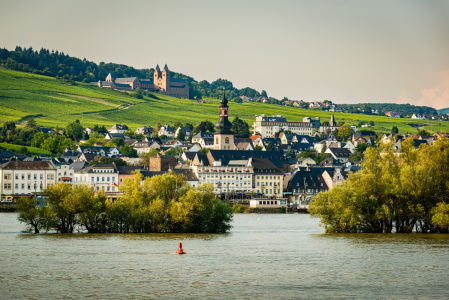 Bild-Nr: 12894817 Stadtpanorama Rüdesheim 53n Erstellt von: Erhard Hess