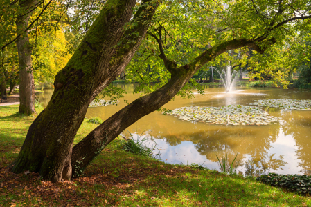 Bild-Nr: 12895471 Irlachsee Kurpark Bad Aibling Erstellt von: SusaZoom