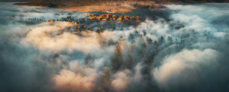 Bild-Nr: 12895627 Luftpanorama von Waldlandschaft bei Sonnenaufgang Erstellt von: Smileus