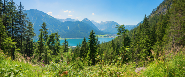 Bild-Nr: 12895843 Karwendelblick vom Dalfaz Wanderweg Erstellt von: SusaZoom