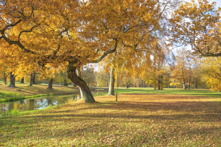 Bild-Nr: 12896109 Herbstland Erstellt von: Johann Pavelka