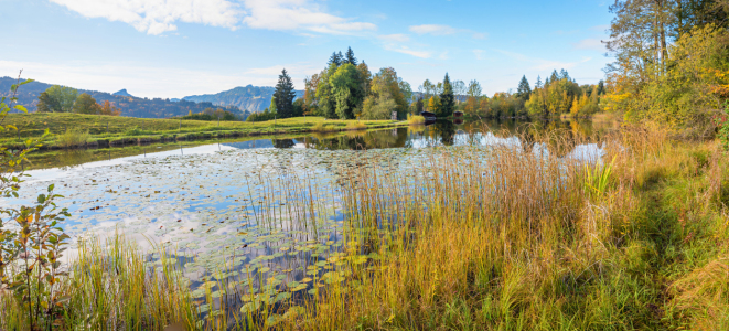 Bild-Nr: 12896185 Moorweiher in Oberstdorf Herbstlandschaft Erstellt von: SusaZoom