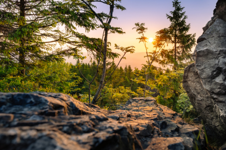 Bild-Nr: 12896790 Die Sonne lacht im Harz  Erstellt von: Steffen Henze
