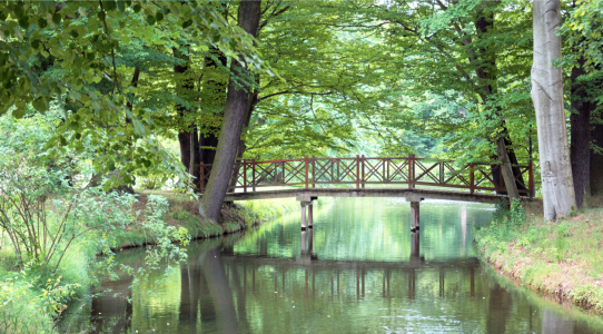 Bild-Nr: 12897275 Brücke im Park Erstellt von: Johann Pavelka