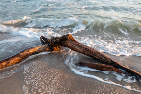 Bild-Nr: 12897702 Ahrenshoop Darß Ostsee Erstellt von: Schildchen